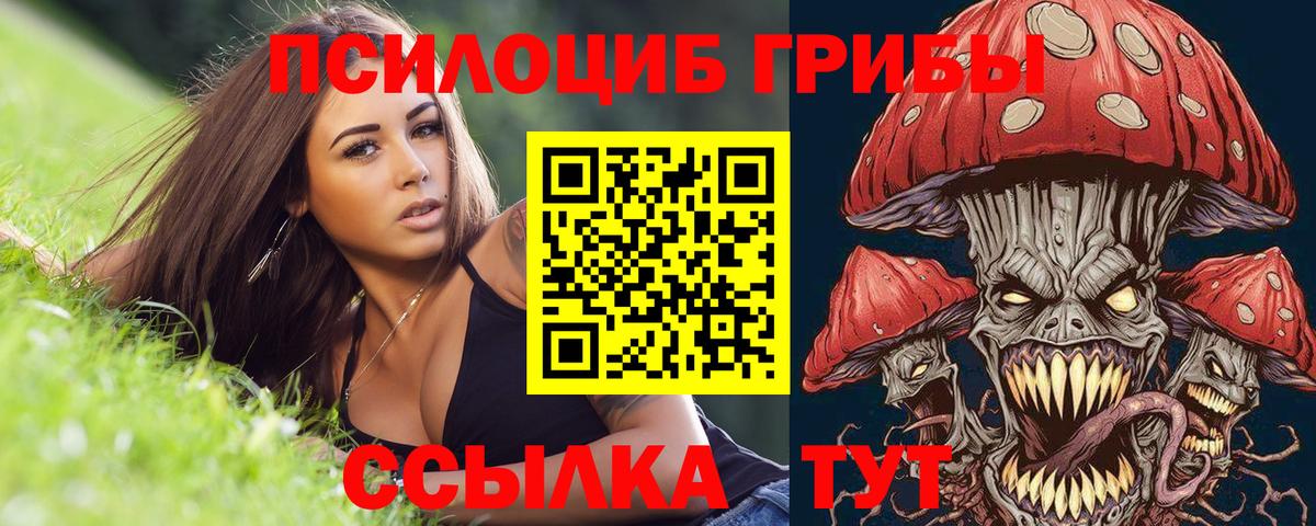 Псилоцибиновые грибы MAGIC MUSHROOMS Губаха