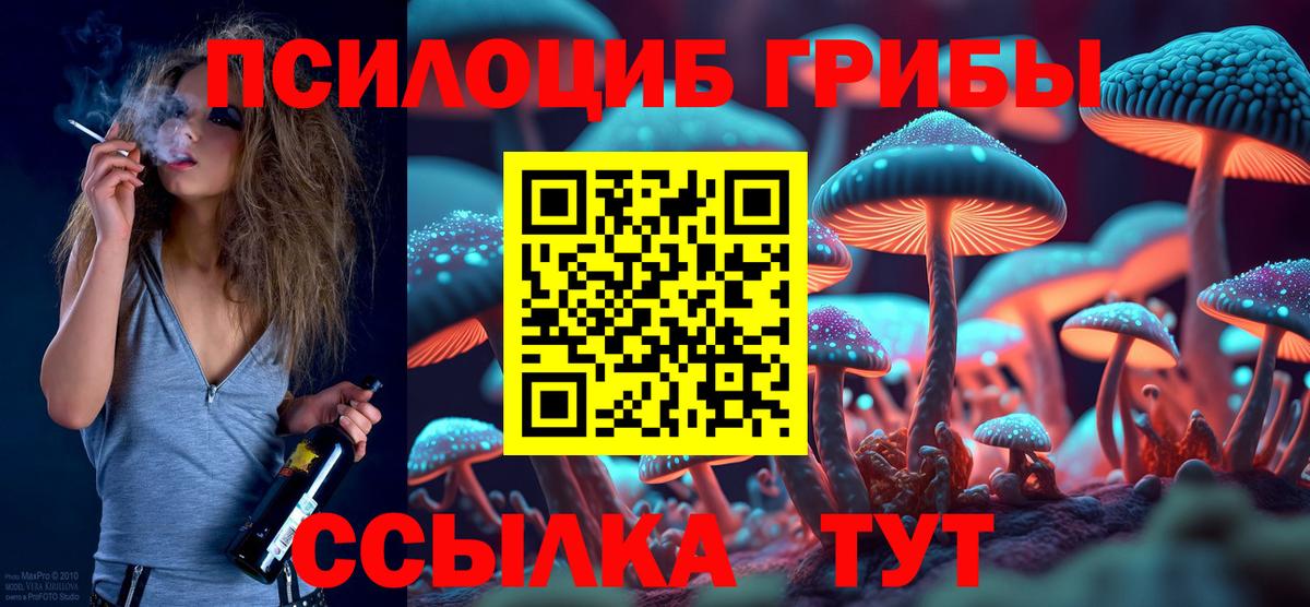 Галлюциногенные грибы Psilocybine cubensis  Вход с VPN  Губаха 